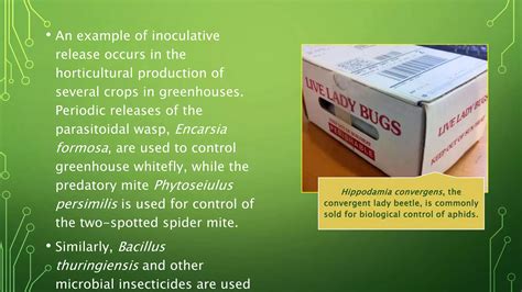 Biological Control Examples 的图像结果