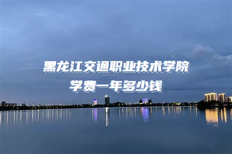 最新《中国留学发展报告》：来华留学生中自费生占大多数 - 黑龙江网