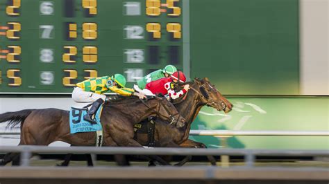 TEXAS RACING COMMISSION (TXRC)