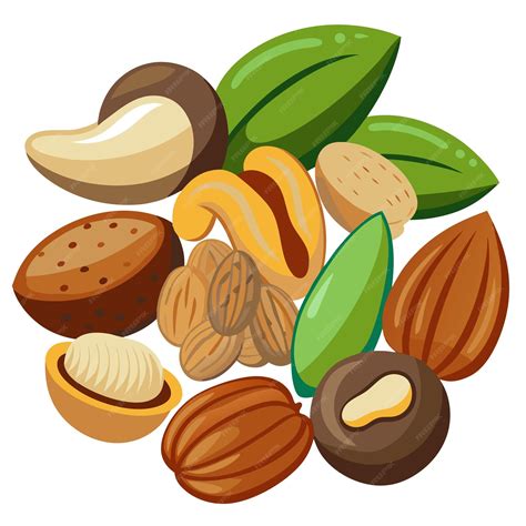 Set of different nuts clip art and Vector Design With White Background ...