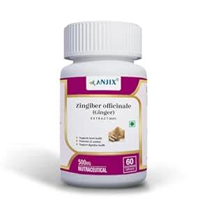ANJIX Ginger Root Extract, Zingiber Officinale, 3% Gingerol, 500 mg ...