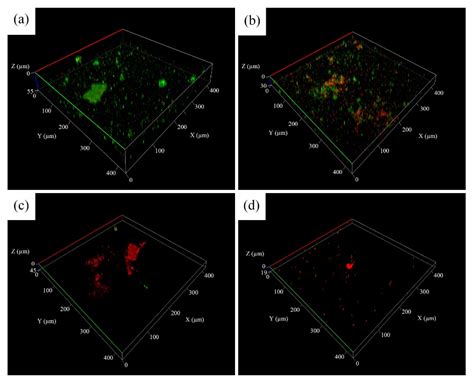 Antimicrobial and Anticorrosion Activity of a Novel Composite Biocide ...