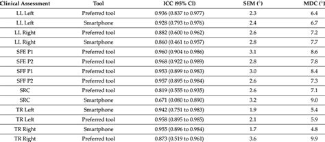 Image result for Inter-Rater Calculator 3 or More Coders