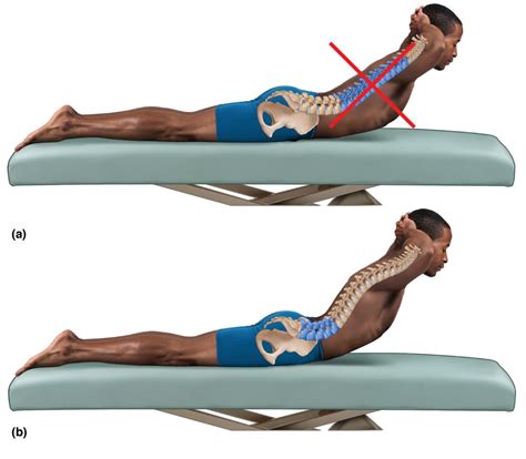 How to Muscle Test Lumbar Extensor Muscles 的图像结果