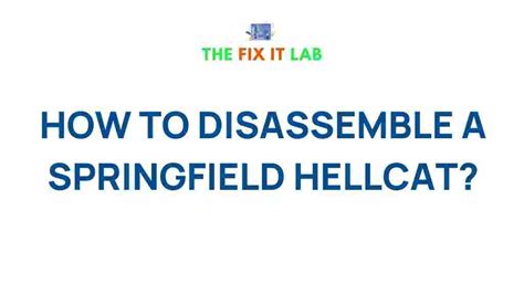 Image result for Disassembling a Springfield Hellcat