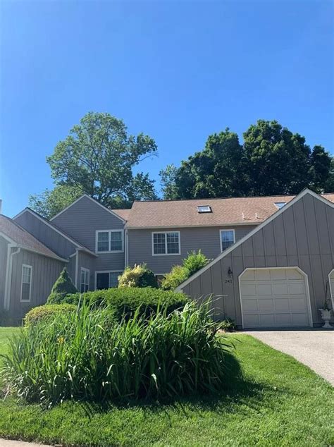 Image result for Tulip Tree CT