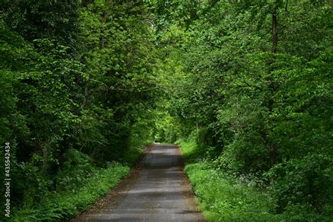 Road Path 的图像结果