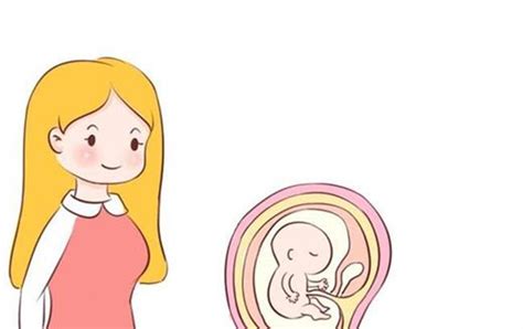 怀孕多久会出现胎心胎芽和孕囊？为什么出现胎停？ - 知乎