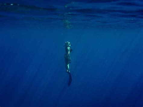 PRIMAL OCEAN (2026) All You Need to Know BEFORE You Go (with Photos ...