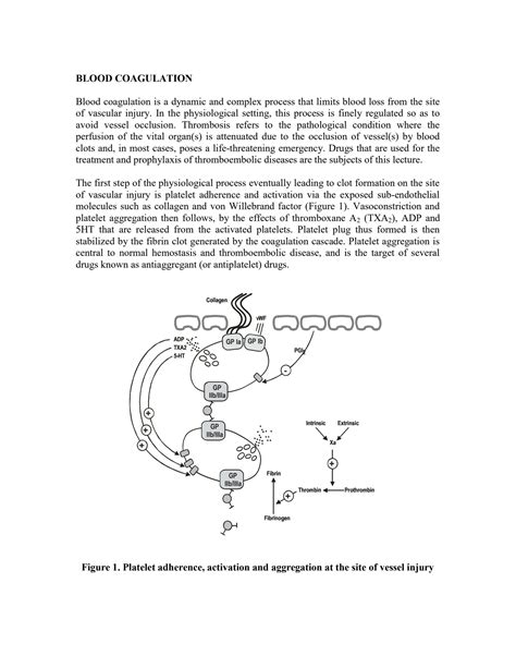 SOLUTION: Anticoagulant fibrinolytic and antiaggregant drugs - Studypool