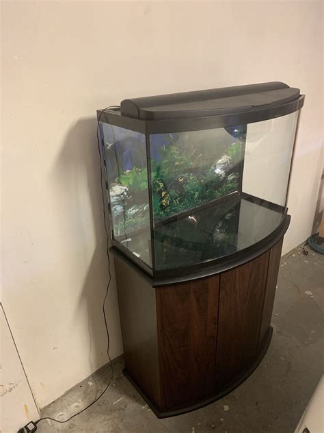 36 gallon bow front fish tank for Sale in Port Richey, FL - OfferUp