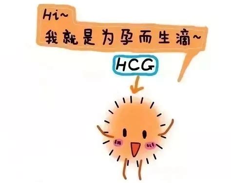 hcg翻倍不好就是胚胎本身问题吗（hcg翻倍慢不是胚胎质量）_华夏智能网