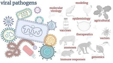 Image result for Different Types of Pathogens