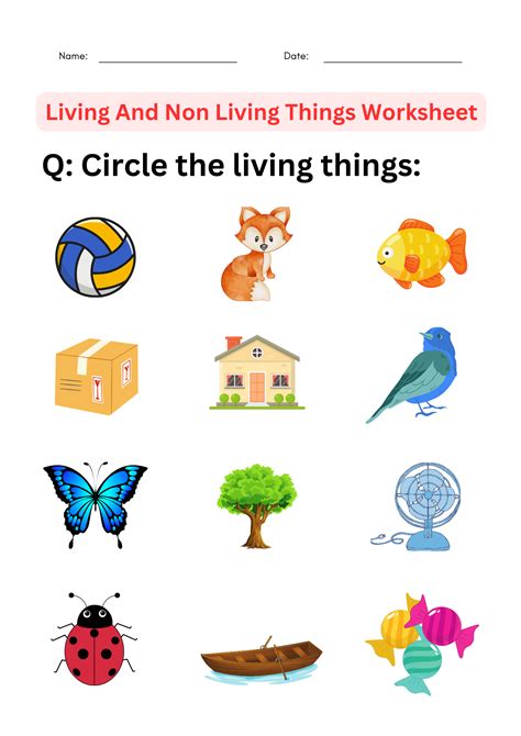 Living And Non Living Things Worksheet - Adriansonfifth