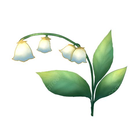 White Bell Flower Branch, White, Bell Flower, Flowers PNG Transparent ...