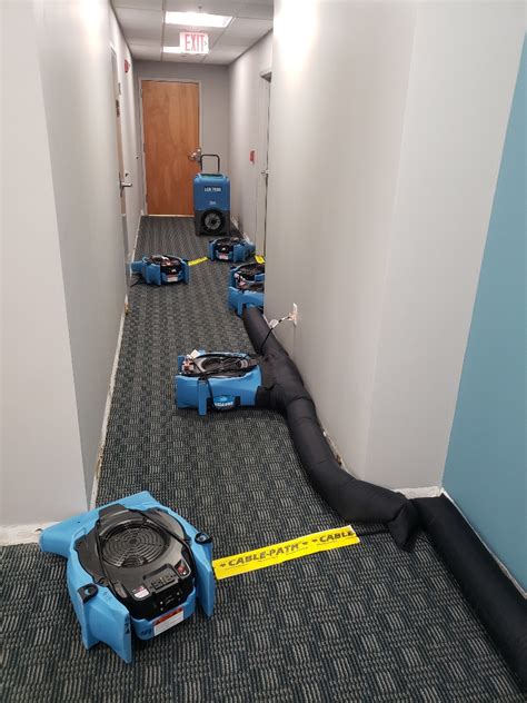 Image result for Complete Drying