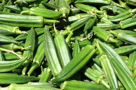 Clemson Spineless Okra Seeds - Heirloom – Hometown Seeds