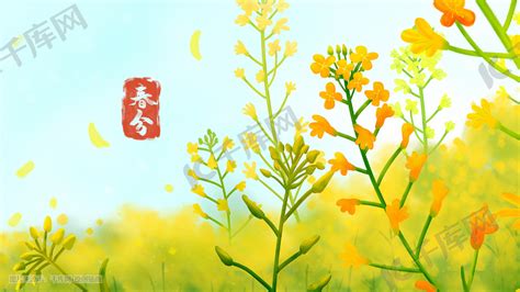二十四节气之春分插画图片-千库网