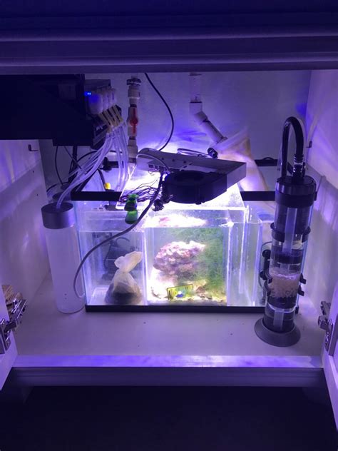 Image result for BioCube Filter Setup