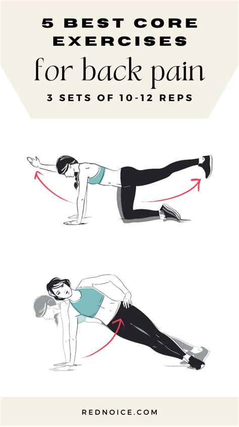 Image result for Core Exercises Lower Back Pain