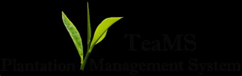 TeaMS ERP | Home | Top-rated Plantation ERP Software