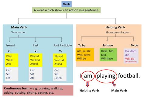 English for Beginners: Verb