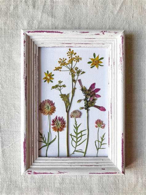 Flower Press Frame Kit at Zane Hodge blog