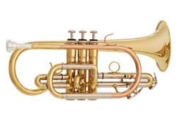 Image result for Lesser-Known Brass Instruments