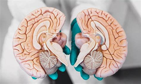 Trial supports new drug for the treatment of focal-onset seizures
