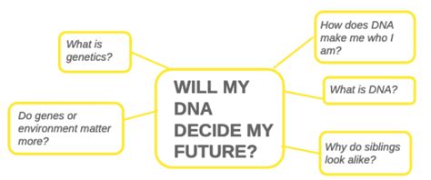 Image result for Enquiry Frame 4th Class