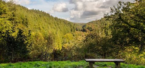 Things to do in Bodmin (2025): Top nearby activities,popular ...