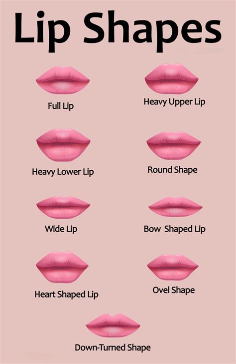 Different Types Of Lip Shapes With Their Names (Infographic)