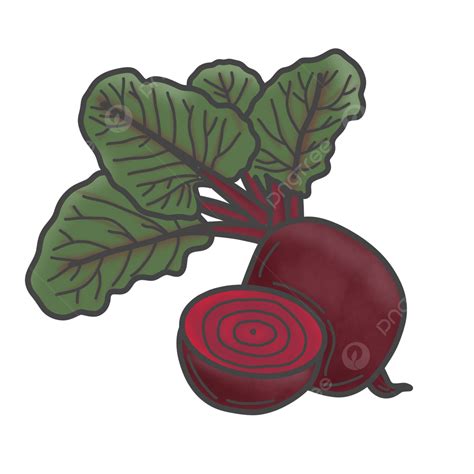 Beet Root Vegetable Is High In Vitamins, Fresh, Beets, Root PNG Transparent Clipart Image and ...