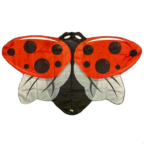 Red Dress-Up Ladybug Wings - Insect Lore