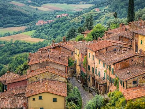 Village Layout 的图像结果