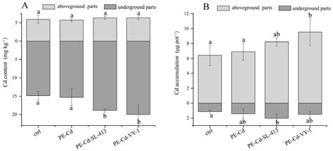 Regulatory Mechanisms of Plant Growth-Promoting Bacteria in Alleviating ...