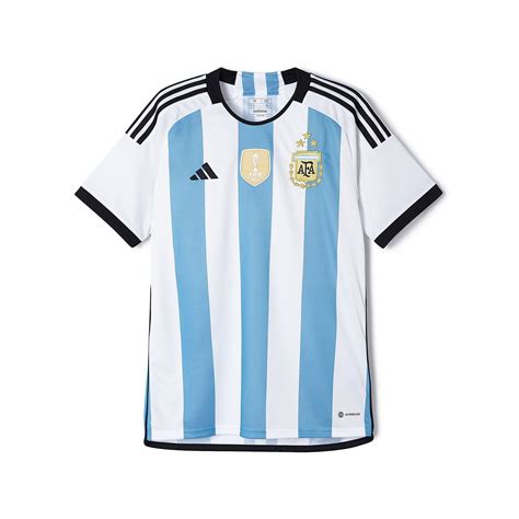 Argentina World Cup 的图像结果