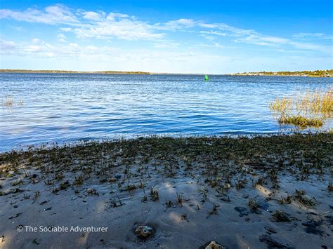 Carolina Beach State Park - The Sociable Adventurer