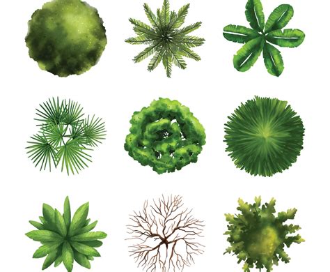 TreePlan 的图像结果