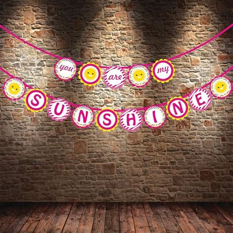 Party Propz™ You Are My Sunshine Banner / Happy Birthday Backdrop ...
