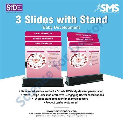 Baby Development: 3 Slides on Stand – SMS Scientific Products Pvt. Ltd.