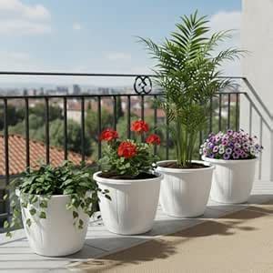 Go Hooked Flower Pot for Gardening | Indoor/Outdoor Planter | White ...