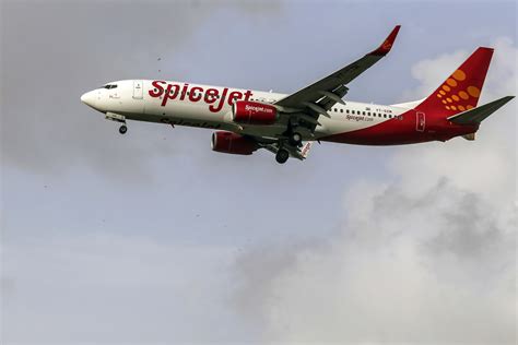 Image result for SpiceJet India