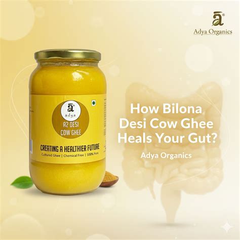 How Bilona Desi Cow Ghee Heals Your Gut? - Adya Organics – Adya ...