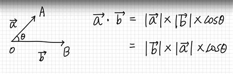 Image result for Vector/Matrix