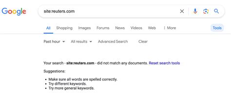Image result for Google Search Issue