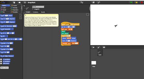 Programmieren MIT Snap 的图像结果