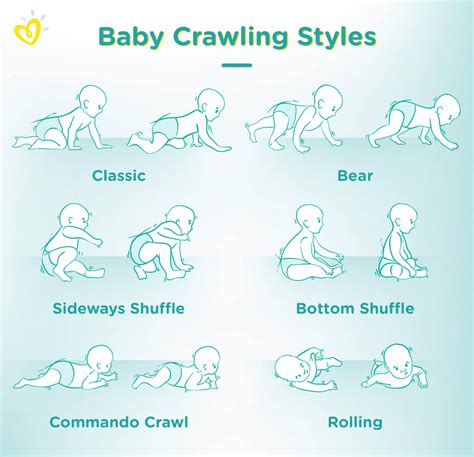 When Do Babies Crawl? Crawling styles chart | Pampers