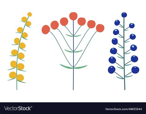 Image result for How to Draw Inflorescences