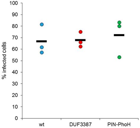 Two Synechococcus genes, Two Different Effects on Cyanophage Infection